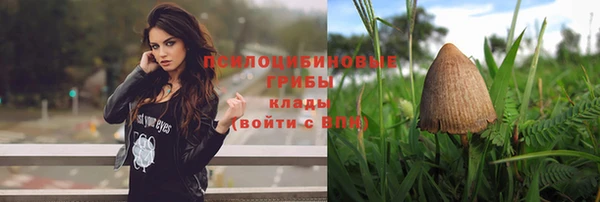 молекула духа Зеленокумск