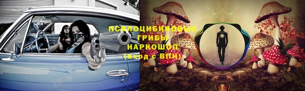 спайс Ельня