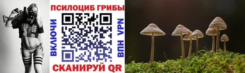 Псилоцибиновые грибы прущие грибы  Купить закладки  Бахчисарай 